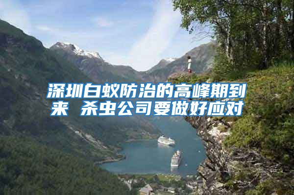 深圳白蚁防治的高峰期到来 杀虫公司要做好应对