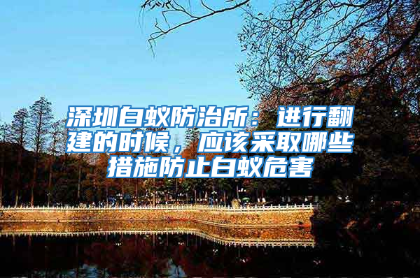 深圳白蚁防治所：进行翻建的时候，应该采取哪些措施防止白蚁危害