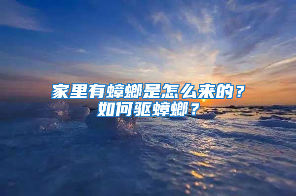 家里有蟑螂是怎么来的？如何驱蟑螂？