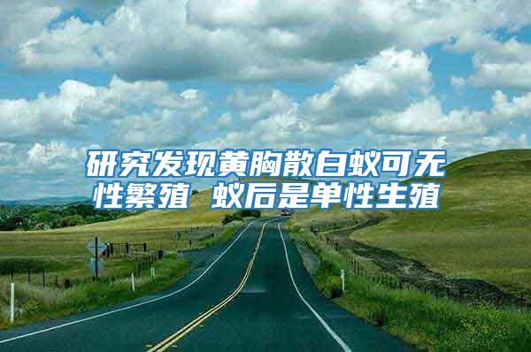 研究发现黄胸散白蚁可无性繁殖 蚁后是单性生殖