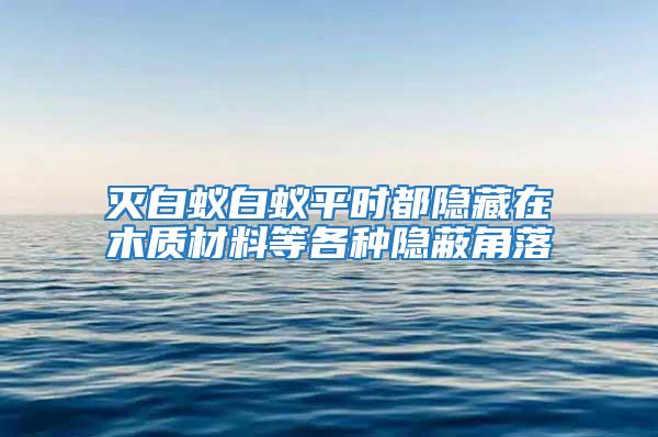 灭白蚁白蚁平时都隐藏在木质材料等各种隐蔽角落