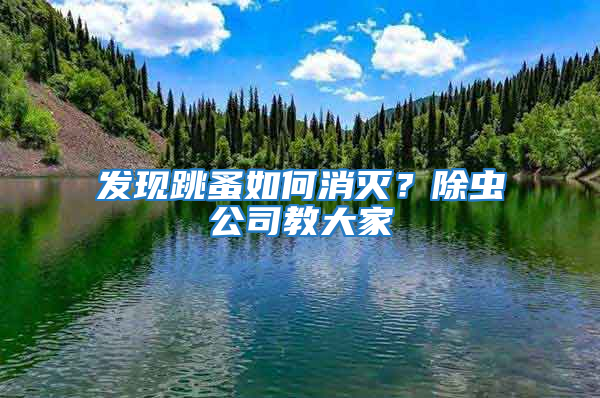 发现跳蚤如何消灭？除虫公司教大家