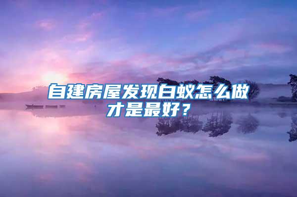 自建房屋发现白蚁怎么做才是最好？