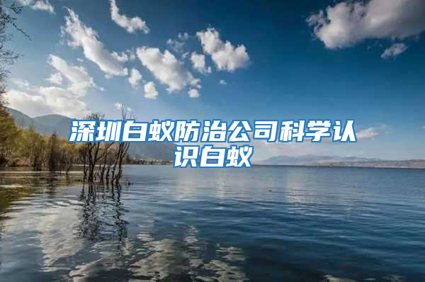 深圳白蚁防治公司科学认识白蚁