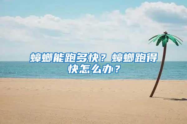 蟑螂能跑多快？蟑螂跑得快怎么办？