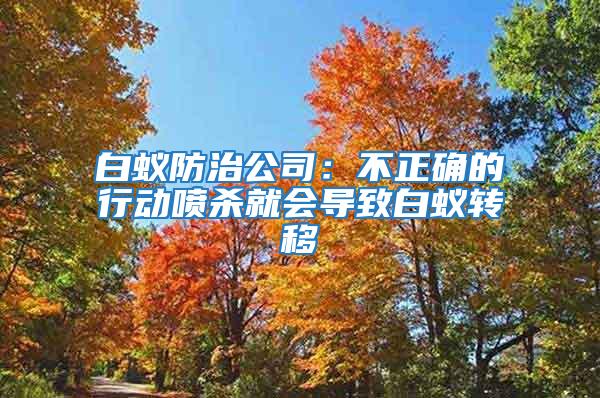 白蚁防治公司：不正确的行动喷杀就会导致白蚁转移