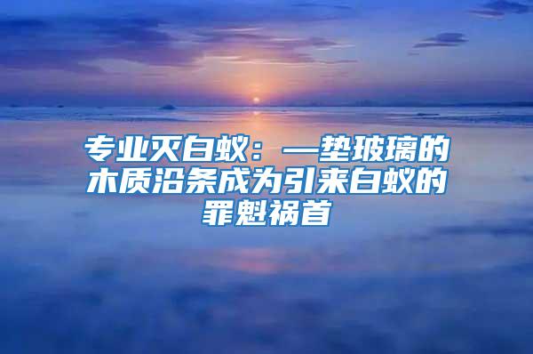 专业灭白蚁：—垫玻璃的木质沿条成为引来白蚁的罪魁祸首