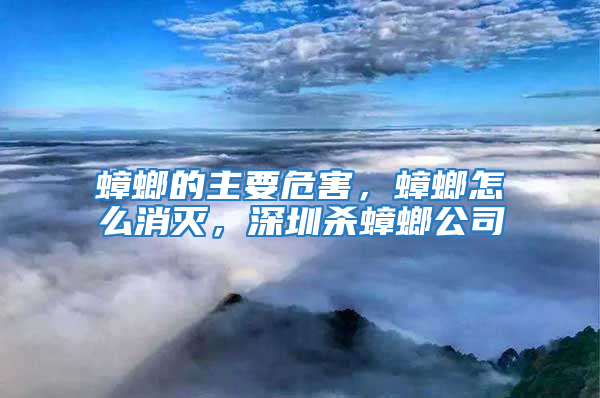 蟑螂的主要危害，蟑螂怎么消灭，深圳杀蟑螂公司