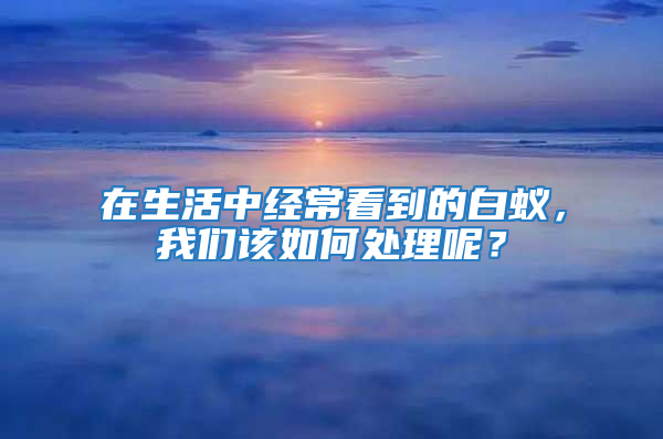 在生活中经常看到的白蚁，我们该如何处理呢？