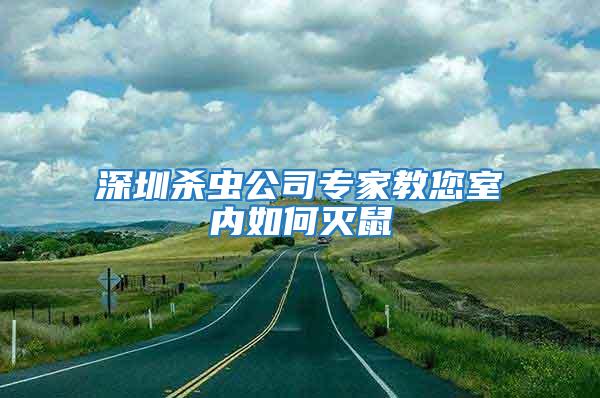 深圳杀虫公司专家教您室内如何灭鼠