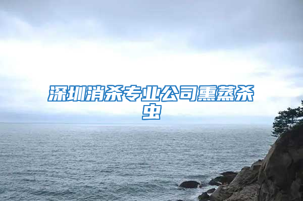 深圳消杀专业公司熏蒸杀虫