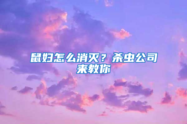 鼠妇怎么消灭？杀虫公司来教你