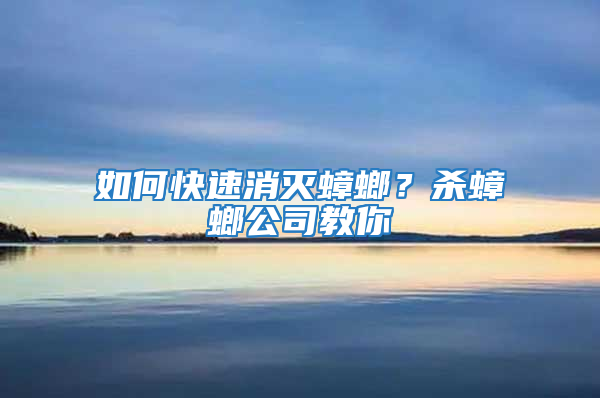 如何快速消灭蟑螂？杀蟑螂公司教你