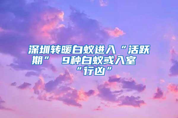 深圳转暖白蚁进入“活跃期” 9种白蚁或入室“行凶”