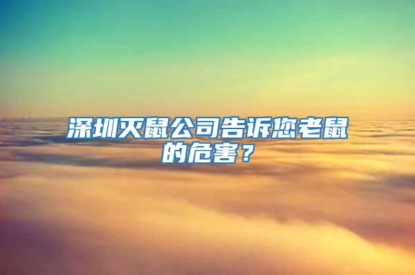 深圳灭鼠公司告诉您老鼠的危害？