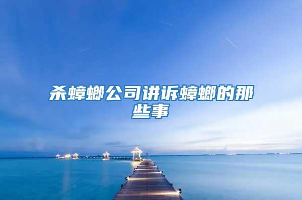 杀蟑螂公司讲诉蟑螂的那些事