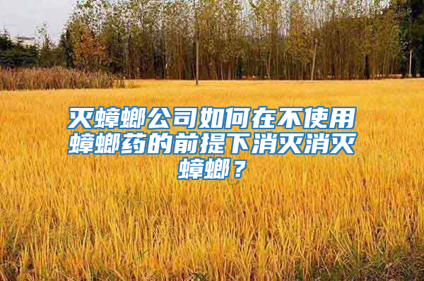 灭蟑螂公司如何在不使用蟑螂药的前提下消灭消灭蟑螂？