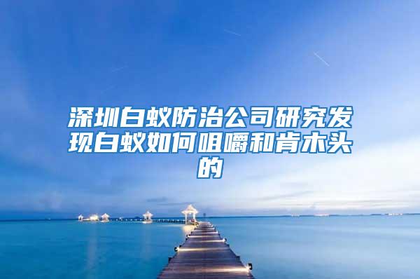 深圳白蚁防治公司研究发现白蚁如何咀嚼和肯木头的