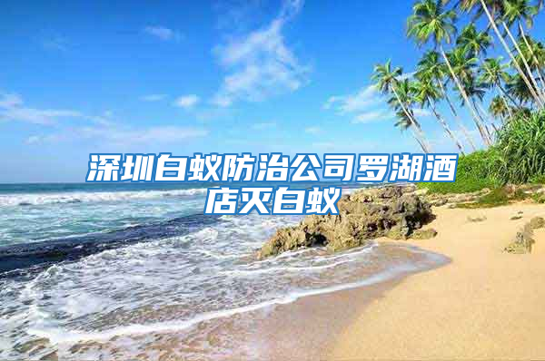 深圳白蚁防治公司罗湖酒店灭白蚁