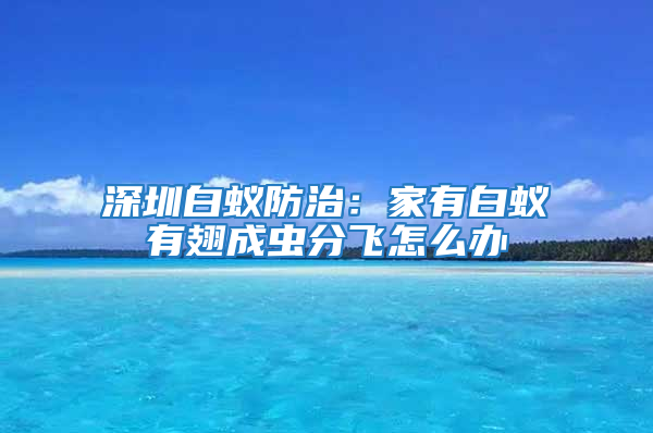 深圳白蚁防治：家有白蚁有翅成虫分飞怎么办