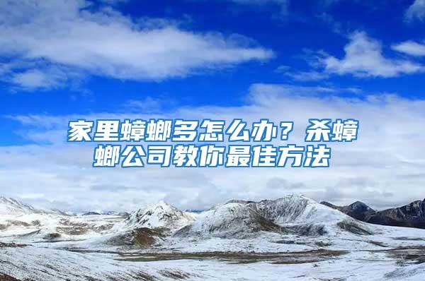 家里蟑螂多怎么办？杀蟑螂公司教你最佳方法