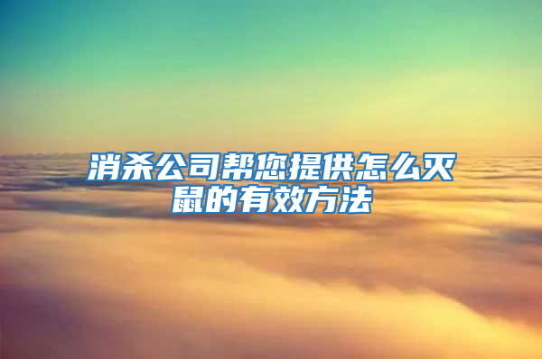 消杀公司帮您提供怎么灭鼠的有效方法