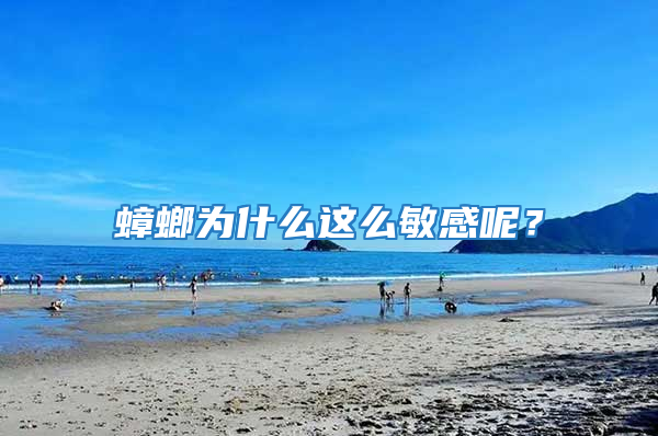 蟑螂为什么这么敏感呢？