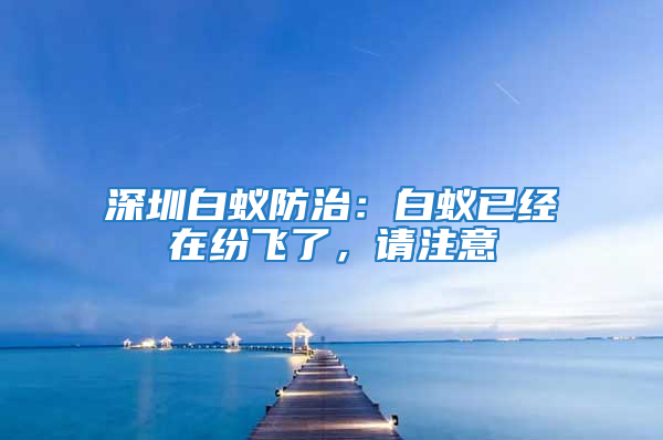 深圳白蚁防治：白蚁已经在纷飞了，请注意