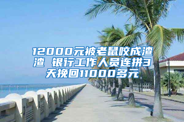 12000元被老鼠咬成渣渣 银行工作人员连拼3天挽回11000多元