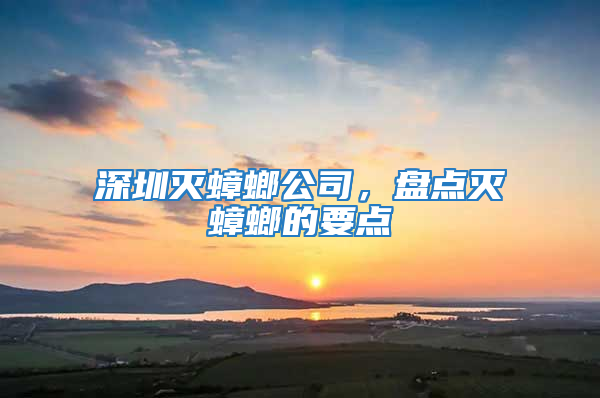 深圳灭蟑螂公司，盘点灭蟑螂的要点