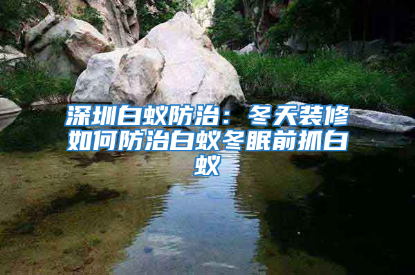 深圳白蚁防治：冬天装修如何防治白蚁冬眠前抓白蚁