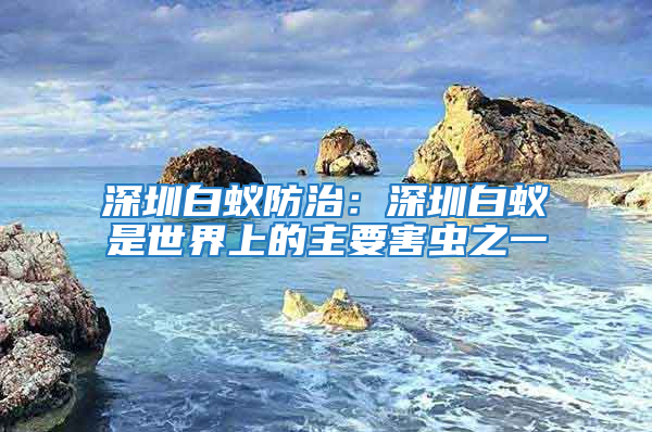 深圳白蚁防治：深圳白蚁是世界上的主要害虫之一