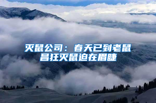 灭鼠公司：春天已到老鼠昌狂灭鼠迫在眉睫
