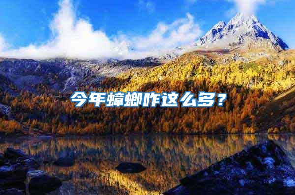 今年蟑螂咋这么多？