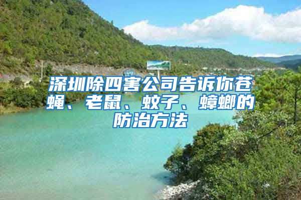 深圳除四害公司告诉你苍蝇、老鼠、蚊子、蟑螂的防治方法