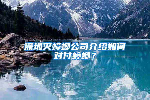 深圳灭蟑螂公司介绍如何对付蟑螂？
