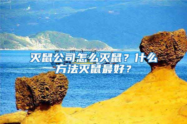 灭鼠公司怎么灭鼠？什么方法灭鼠最好？