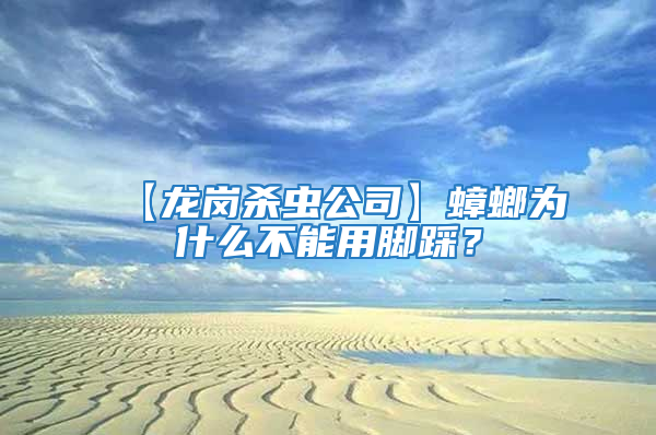 【龙岗杀虫公司】蟑螂为什么不能用脚踩？