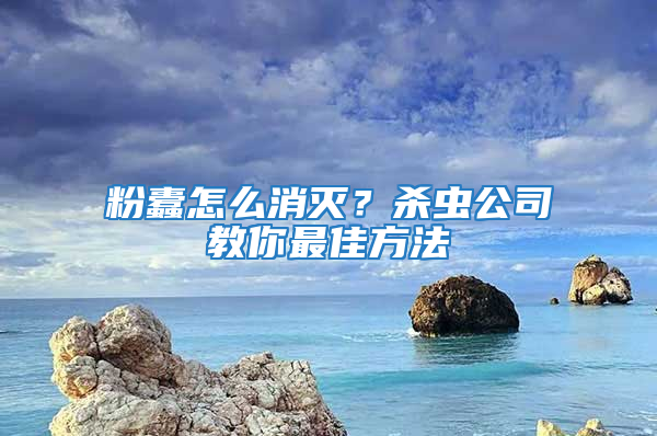 粉蠹怎么消灭？杀虫公司教你最佳方法