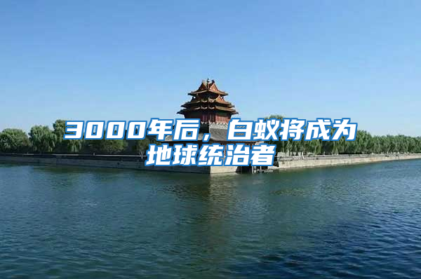 3000年后，白蚁将成为地球统治者