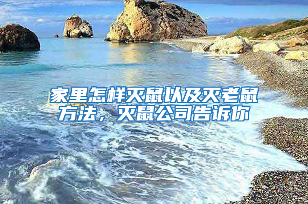 家里怎样灭鼠以及灭老鼠方法，灭鼠公司告诉你