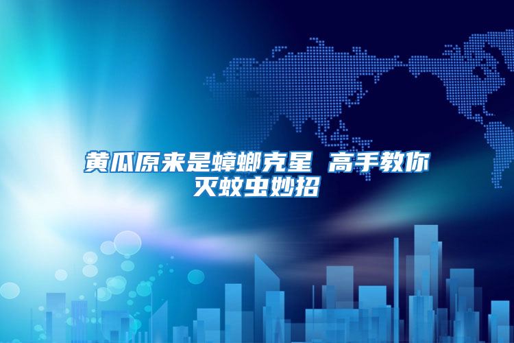 黄瓜原来是蟑螂克星 高手教你灭蚊虫妙招