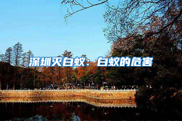 深圳灭白蚁：白蚁的危害