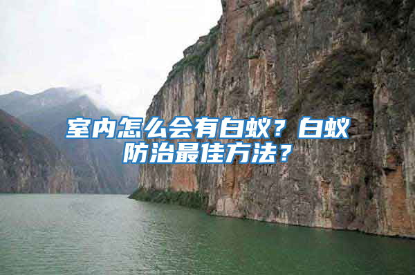 室内怎么会有白蚁？白蚁防治最佳方法？