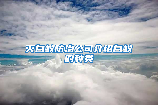 灭白蚁防治公司介绍白蚁的种类