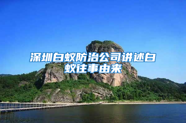 深圳白蚁防治公司讲述白蚁往事由来
