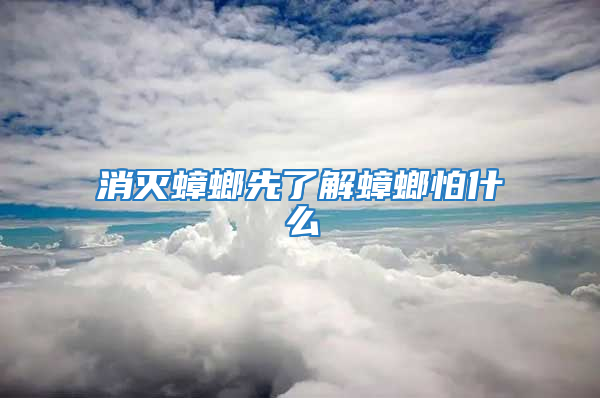 消灭蟑螂先了解蟑螂怕什么