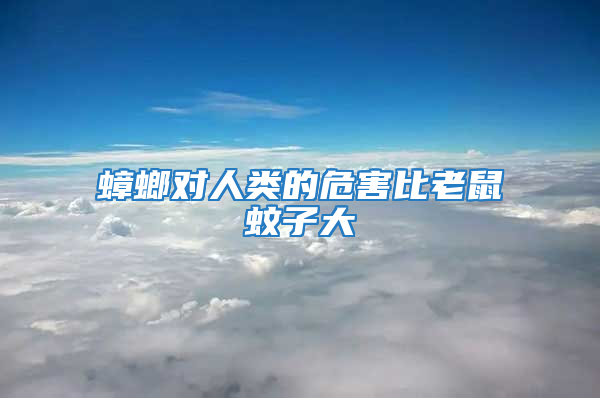 蟑螂对人类的危害比老鼠蚊子大