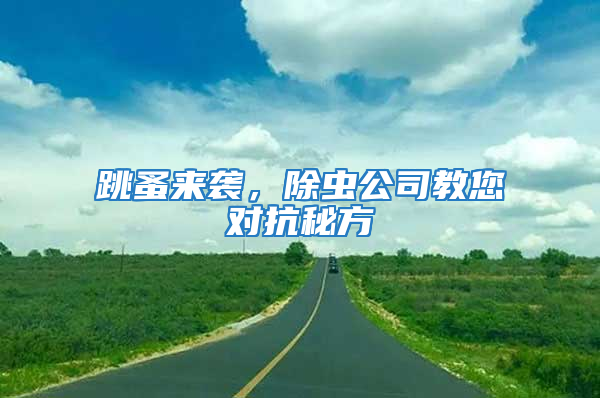 跳蚤来袭，除虫公司教您对抗秘方