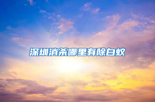 深圳消杀哪里有除白蚁